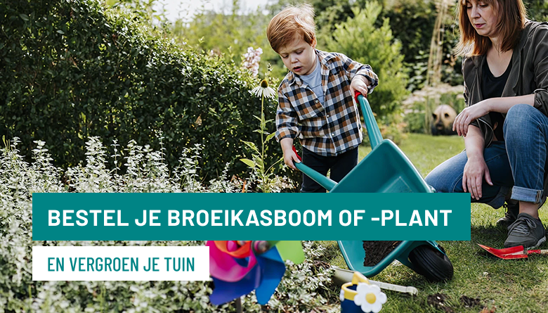 Broeikasboom afbeelding